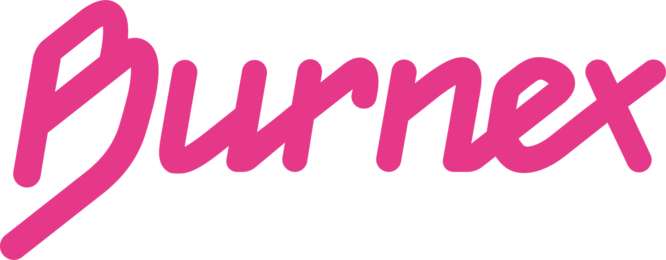 Burnex Logo